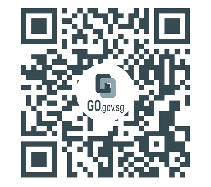 HTTPS   Go Gov Sg Mcfgritposting (1).webp